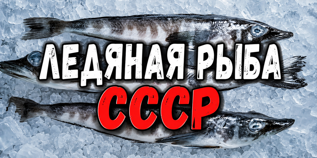 Ледяная рыба - её ел весь СССР. Почему сегодня она дороже семги и редко продаётся