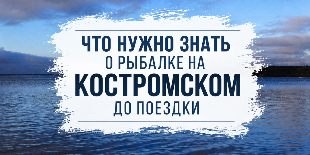 Что нужно знать о рыбалке на Костромском до поездки