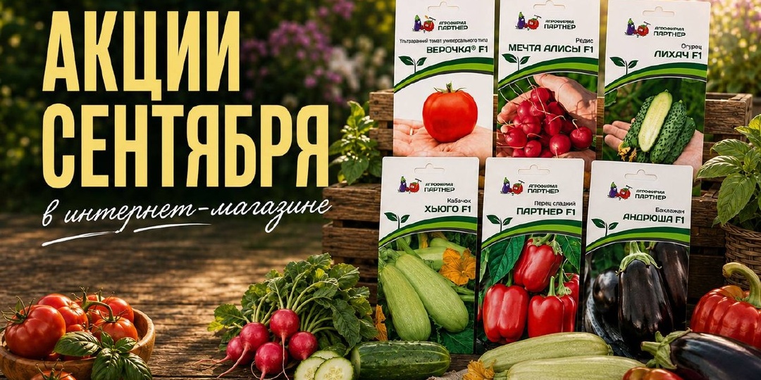 🎁 АКЦИИ СЕНТЯБРЯ В ИНТЕРНЕТ-МАГАЗИНЕ