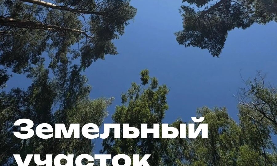 Земля как актив: орловцам рассказали, как сохранить и приумножить сбережения