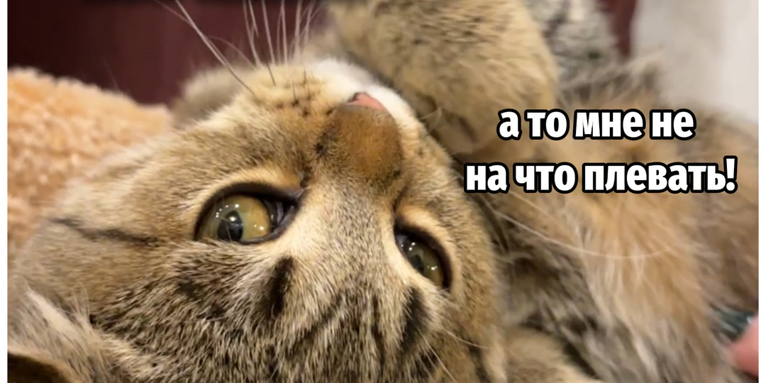 О, как😂