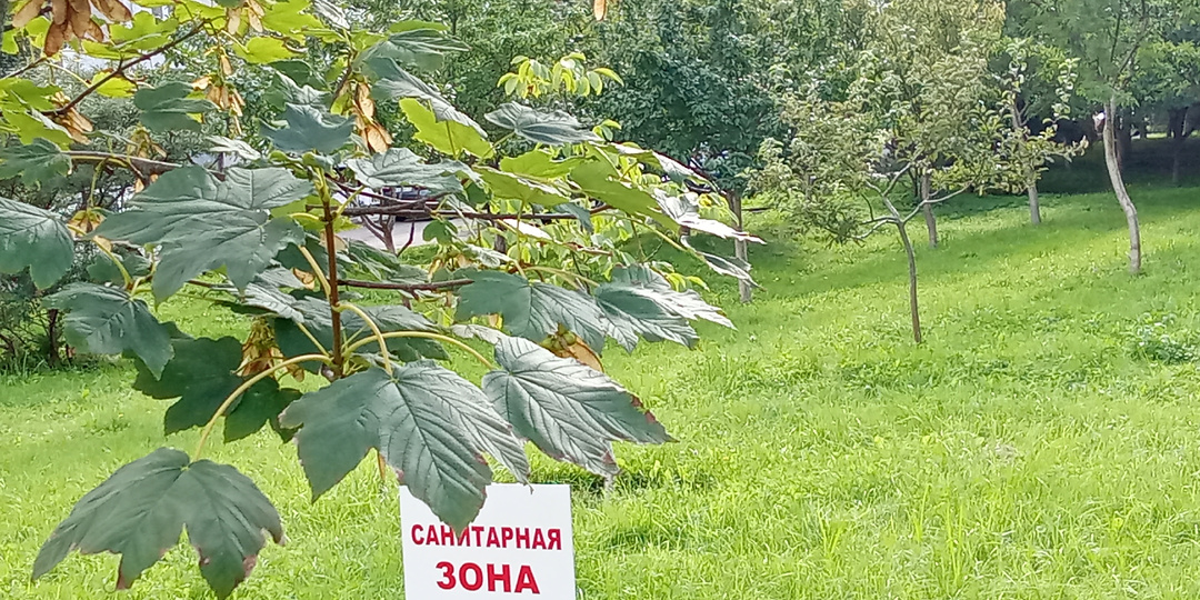 Отвечаю своим друзьям и подписчикам