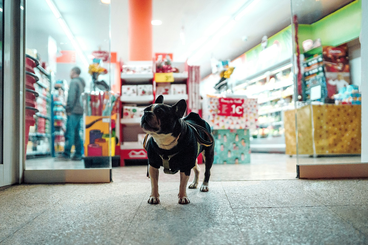    Peter Plashkin/Unsplash