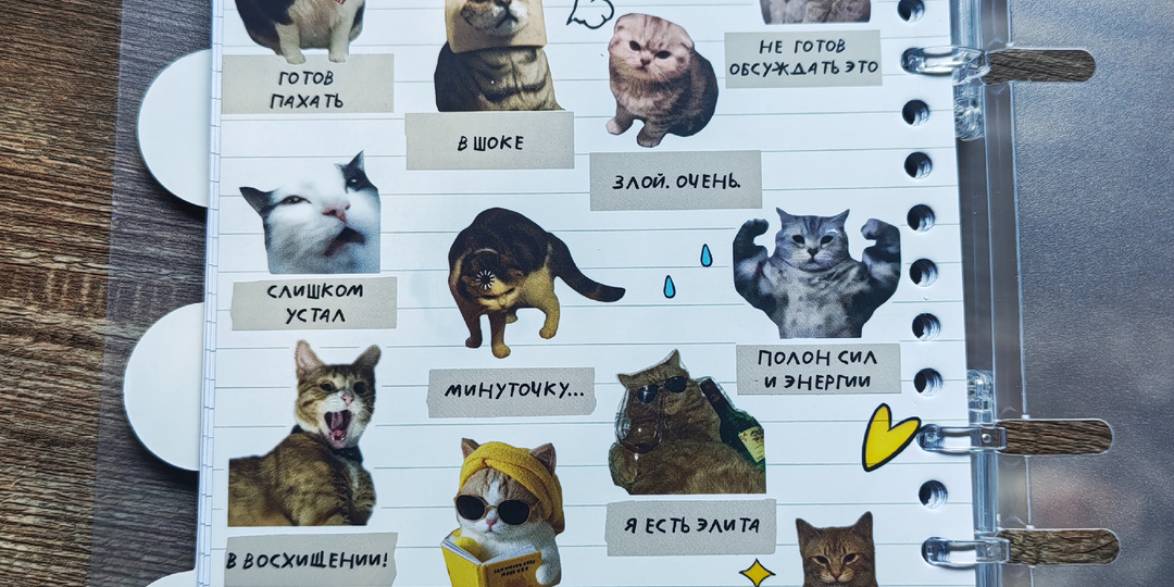 Какой котик вы сегодня?