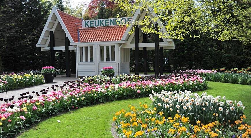 Самый красивый весенний парк в мире - Кёкенхоф 🌷Секрет посадки луковичных