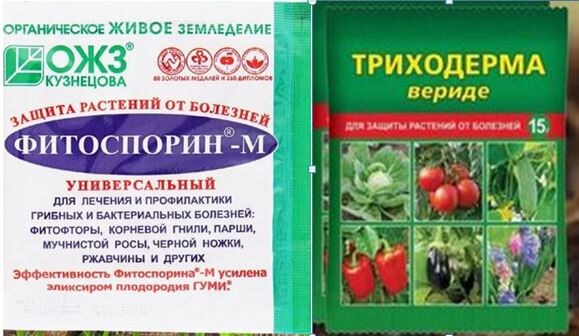 Фитоспорин — только по листу, а Триходерма — в землю? Разрушаем главный миф о биопрепаратах!