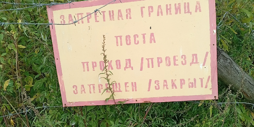 Осенние находки: снова удачный выход.