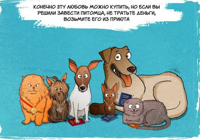Взять собачку из нашего приюта это ...
