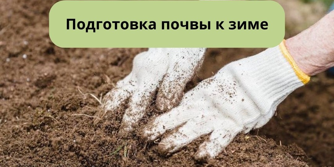 В сентябре есть короткий период, когда с почвой ещё можно нормально работать