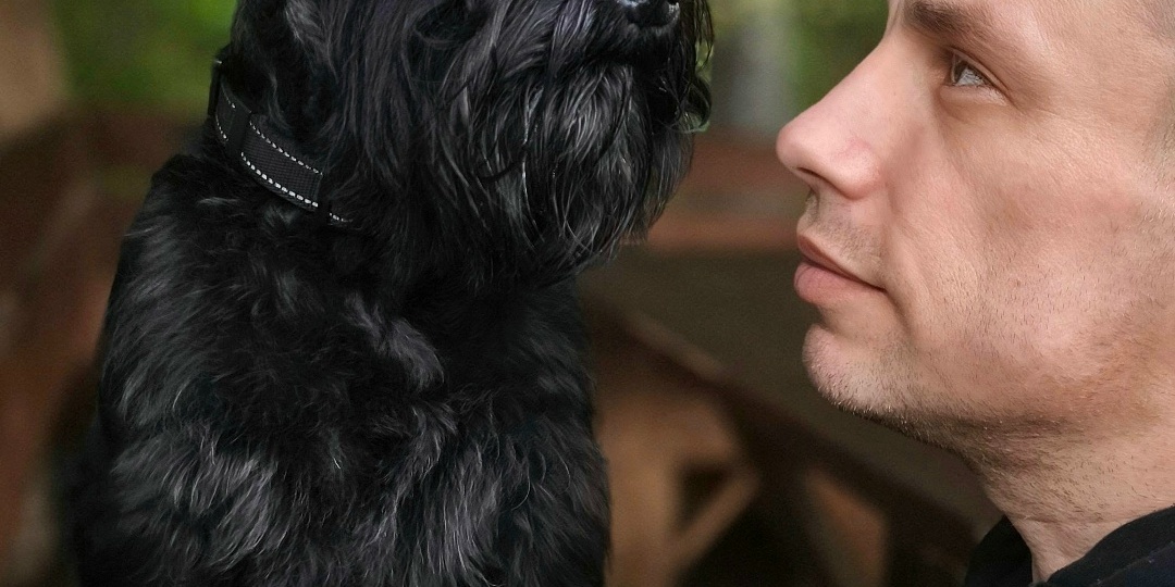 🐶 Собаки знают секрет человеческого настроения.