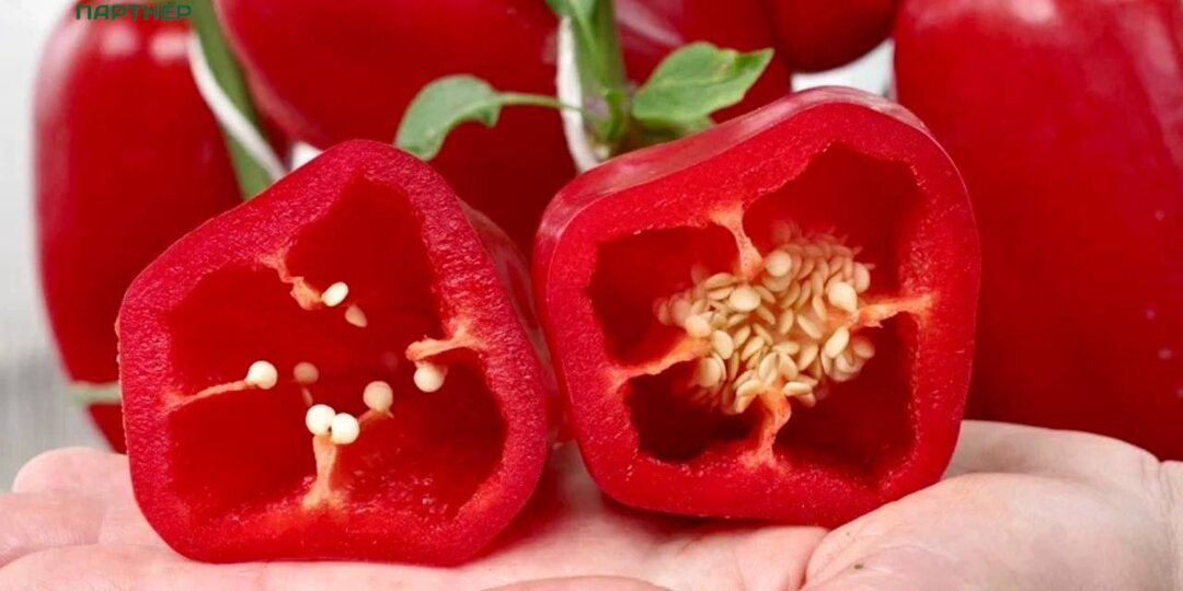 🥗 Овощи для фаршировки