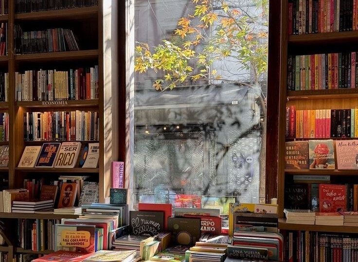 Книги, которые перенесут в школу и университет