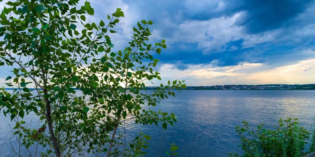 Больше 200 тысяч полугодовалых сазанов выпустили в Шершневское водохранилище