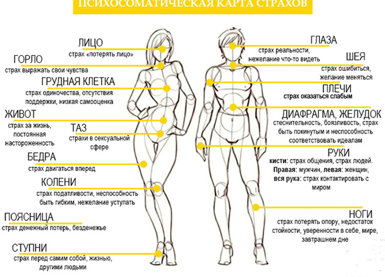 Человек болеет не от того, что испытывает негативные эмоции и стресс, а, наоборот.