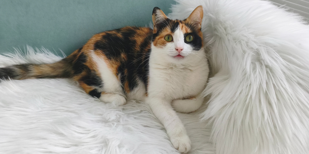 Марта