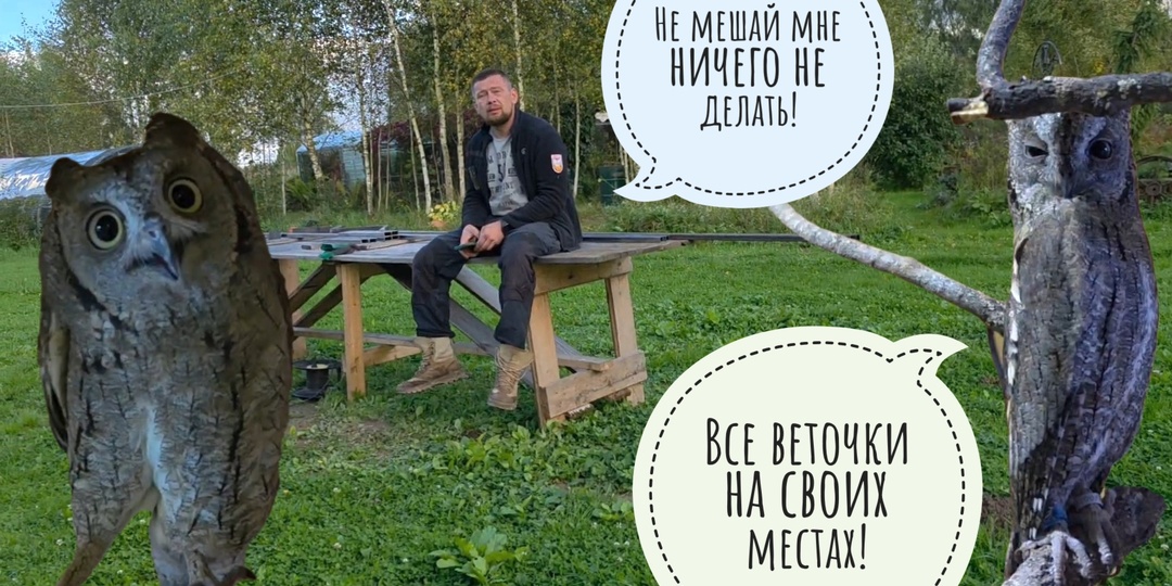 Пока берёзы шатают воздух, делая ветер, я разбираю комнату сыча Лучика и готовлюсь зимовать
