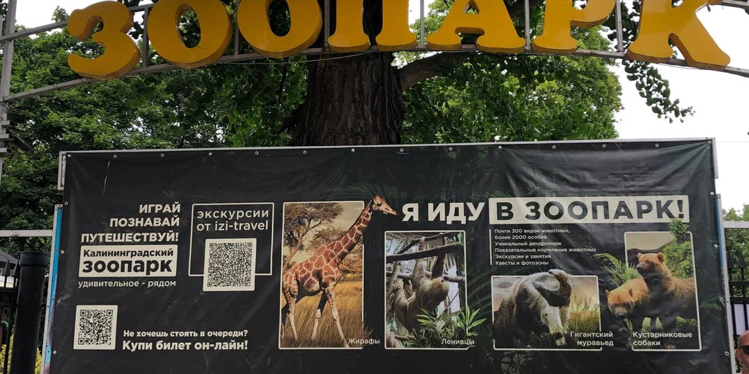 Калининградский зоопарк или как не зря потратить целый день
