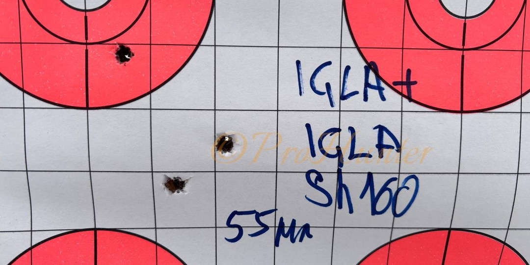 IGLA – не только винтовка