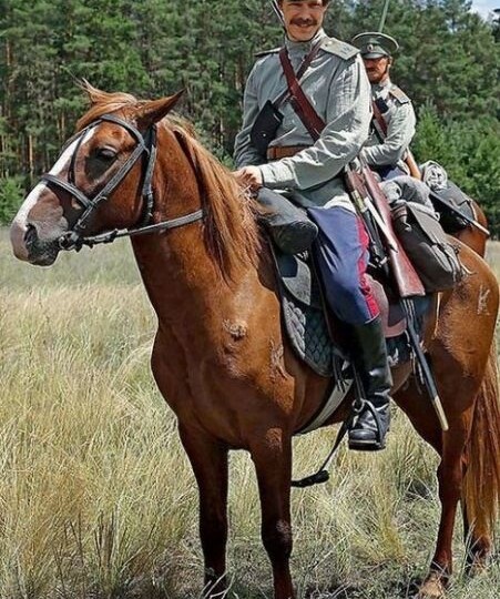 ВОЛЬНЫЙ КАЗАК...