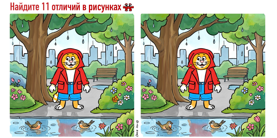 11 отличий и анаграммы на картинках про котика. Задачки для тренировки ума от Кеши