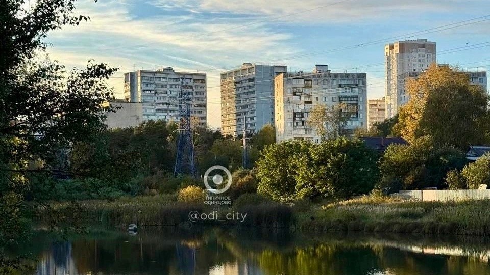 В Московском регионе ожидается потепление до 23 градусов с дождями