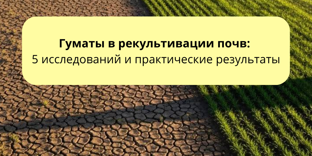 Как гуматы усиливают рекультивацию загрязнённых почв: 5 исследований и практические результаты
