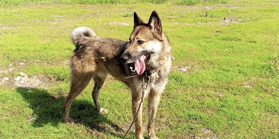 Кузя. Наш редкий самородок, верующий в свою сказку