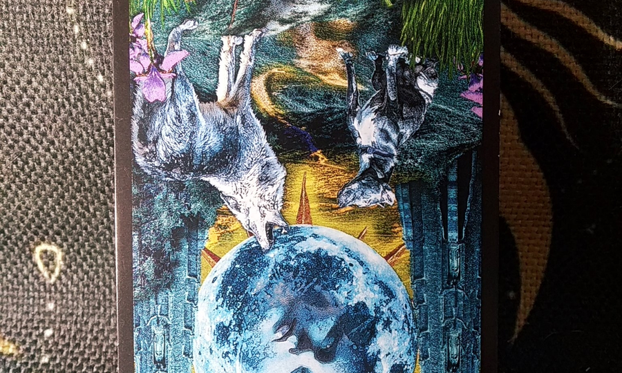 Карта недели. Луна (обратная)