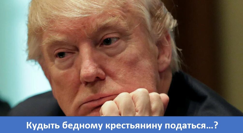 https://avatars.dzeninfra.ru/get-zen_doc/271828/pub_6a9e0e9c4f7d0165e2d36df7_6a9e0f5db6339503daa421cc/scale_1200