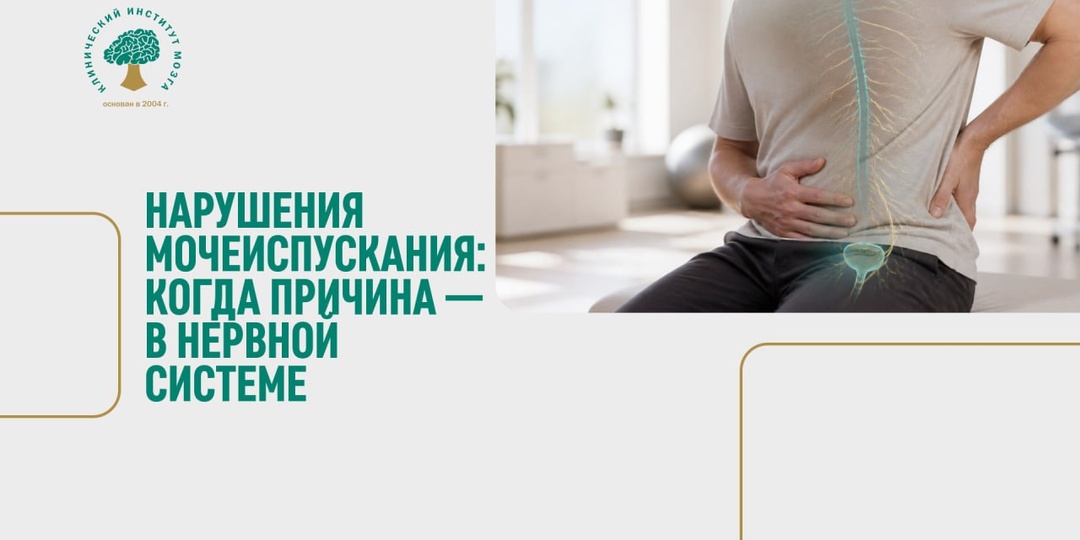 Мочевой пузырь не работает автономно