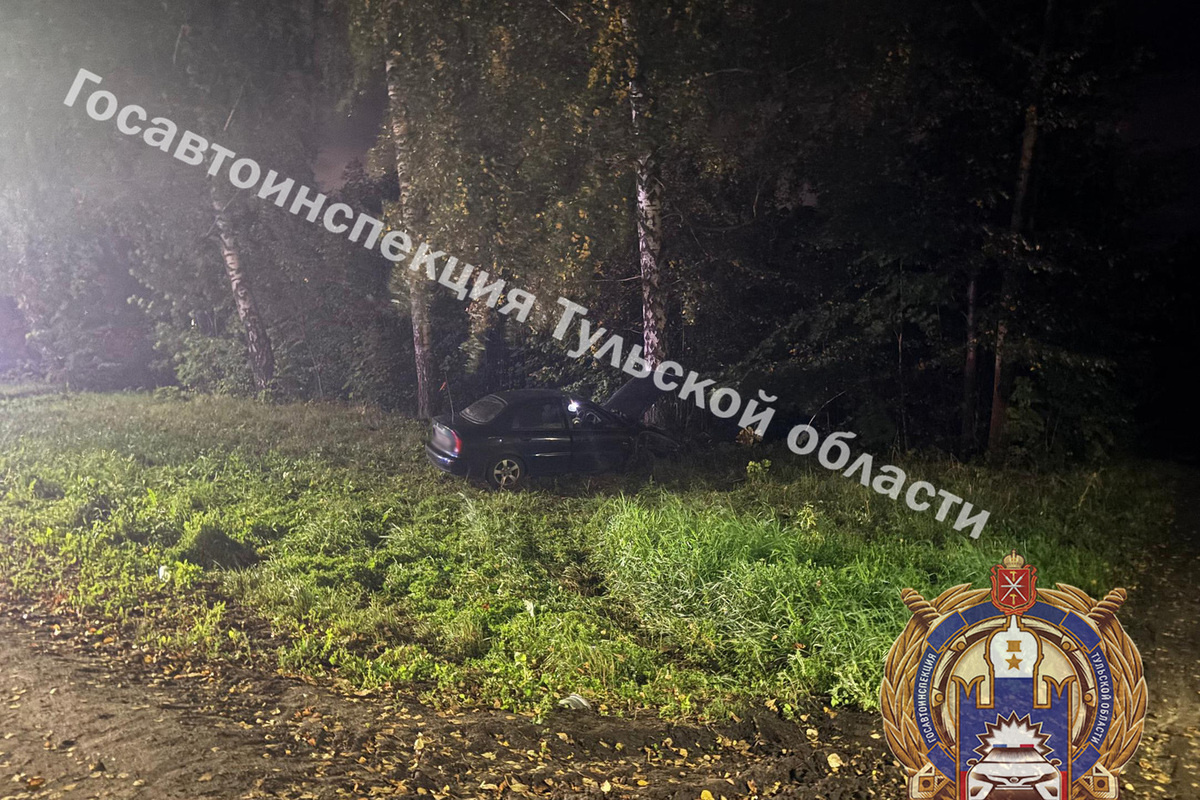     Фото: пресс-служба тульской Госавтоинспекции