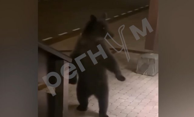 Кадр из видео
