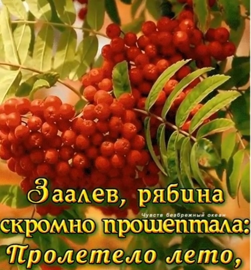 Осень все ближе