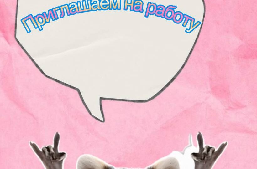 🚀 Твоя новая глава может начаться здесь