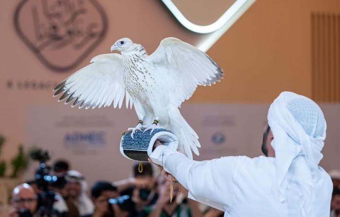 Обложка © X/ sharjah24