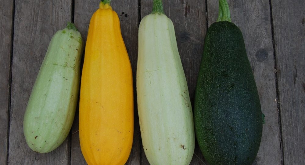 Что приготовить из кабачков: 7 вкусных рецептов