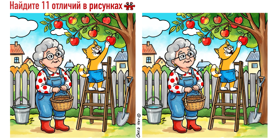 11 отличий на картинках про сбор урожая на даче. Тест на внимательность и анаграммы от Кеши