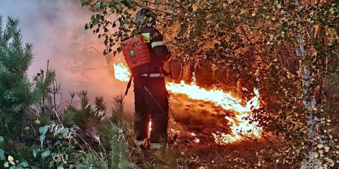 За сутки в Челябинской области произошло 52 природных пожара на 300 га