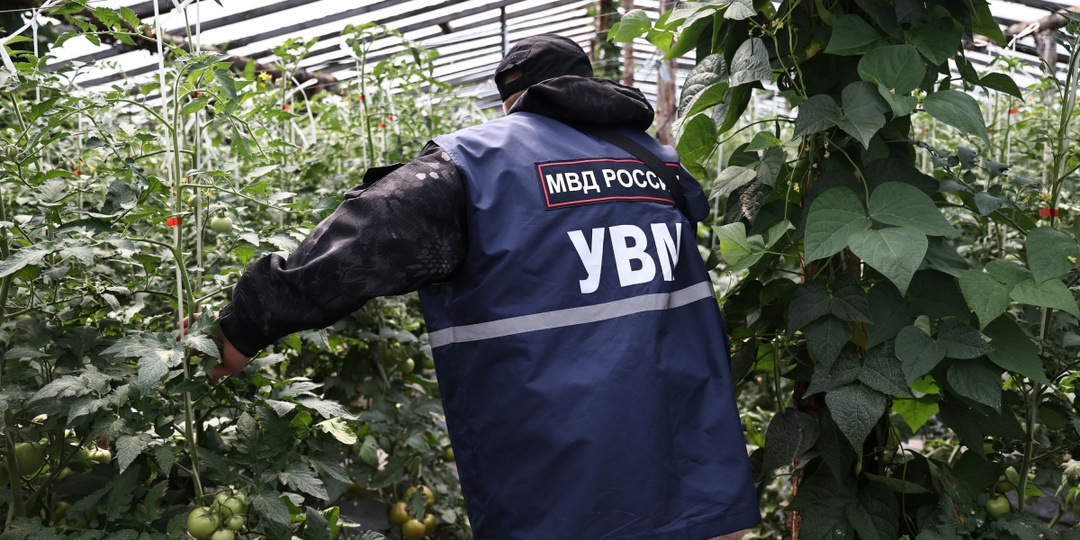 23 нелегала улетели домой из Челябинской области под конвоем