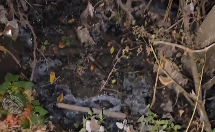 В Курске на Ермошкином озере зафиксирован сброс сточных вод