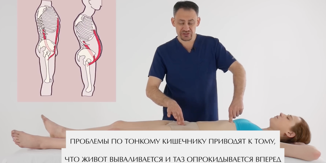 Что общего у ворона и письменного стола? А у кишечника и осанки?