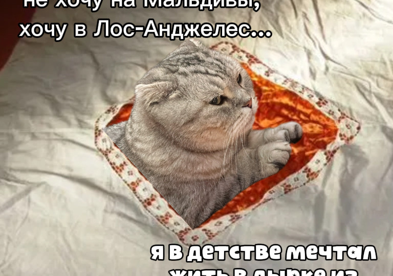 И было счастье😻😂