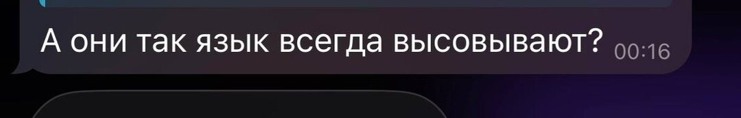 Высовывание языка — это способ сбора химической информации об окружающей среде: раздвоенный кончик языка улавливает молекулы запахов и