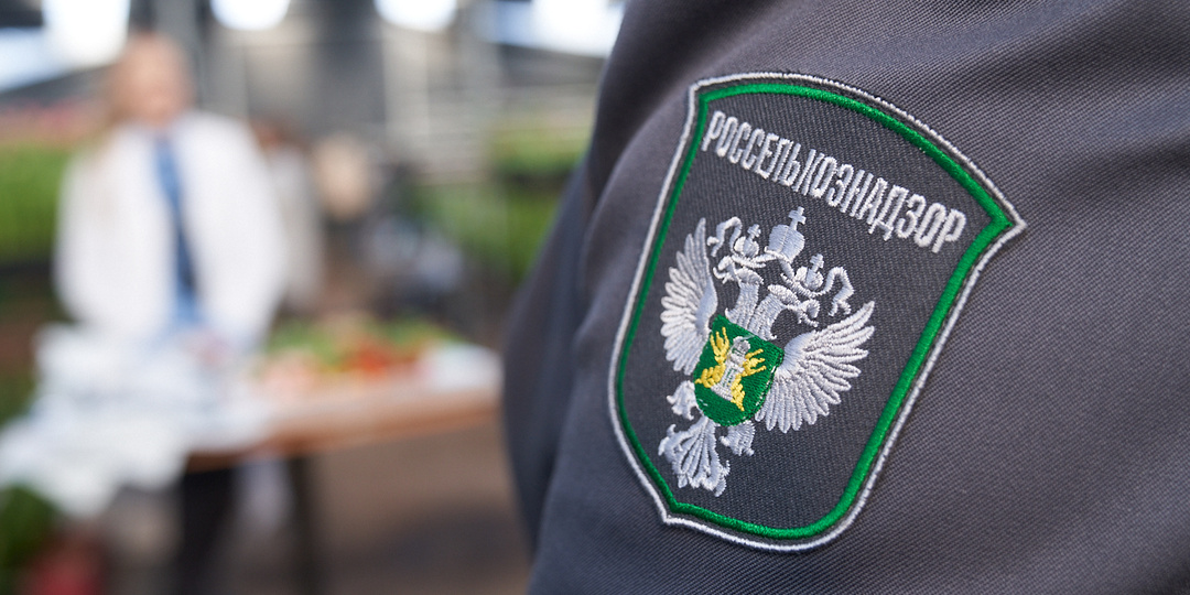 Уральский Россельхознадзор запретил вывоз пиломатериалов в Кыргызстан
