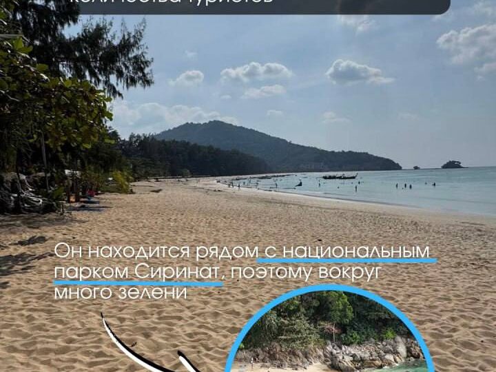 мои контакты