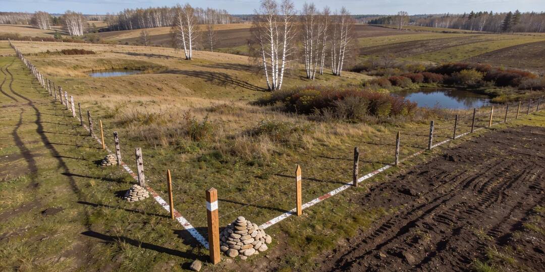 Кандидаты в Госдуму утаили миллиарды и гектары земли