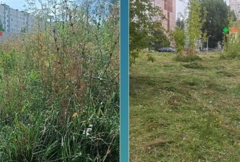 В Рязани скосили траву на улице Новоселов после обращения местной жительницы