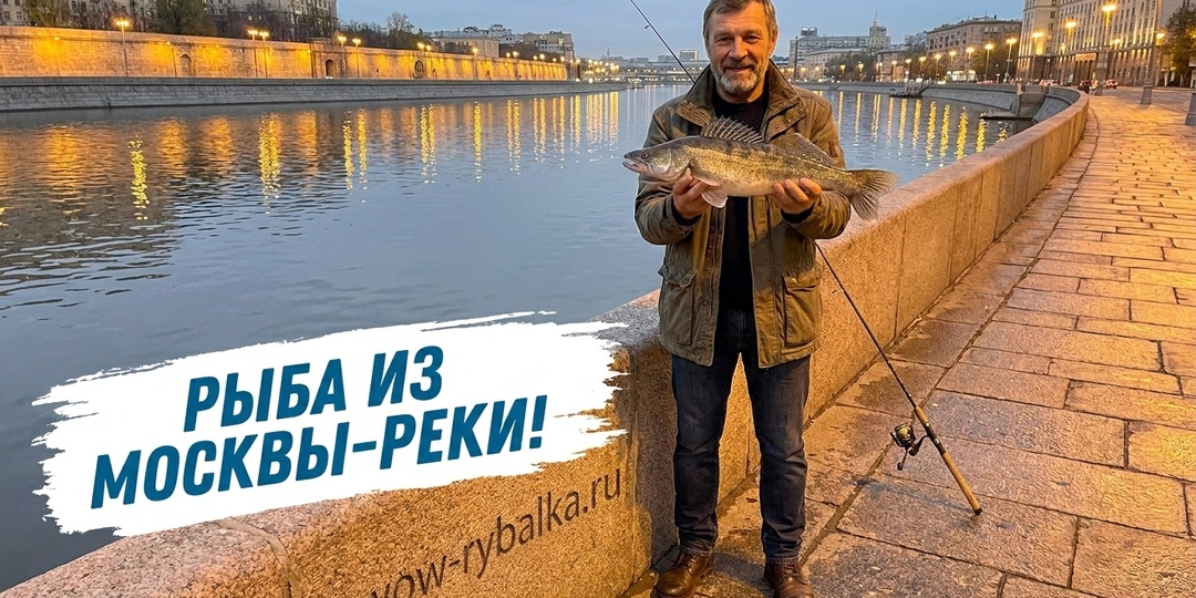 «Светится в темноте или чистый деликатес?»: можно ли на самом деле есть рыбу из Москвы-реки