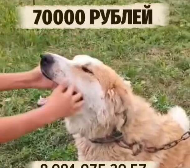 Помогите Марселю победить рак🙏🏻