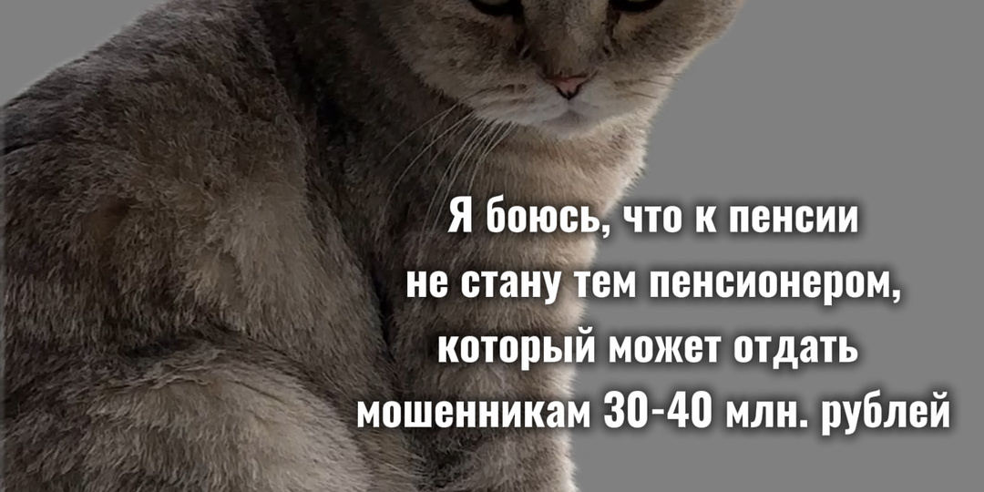 Где они их берут🤔😅